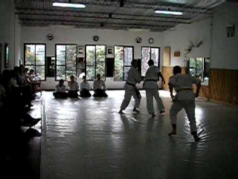 Jiyu Waza - examen de aikido. Carlos Franco