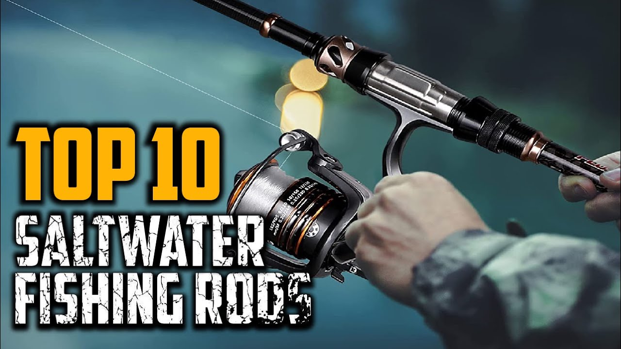 Daiwa Fishing Best Daiwa Spinning Reel For The Money Okinawa Prefecture  Surf Fishing Reel Best Saltwater Spinning Rods Top 10 Best Saltwater  Fishing Rods In