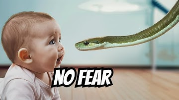 ✅ The Truth About Babies & Snakes: No Fear? Here’s Why!