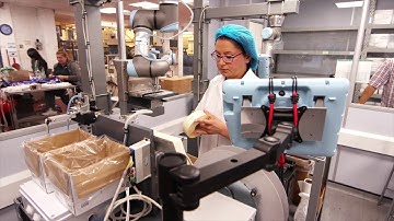 Custom Made Food Flags