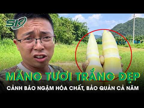 China discovers fresh bamboo shoots soaked in chemicals to stay white and preserved for a year | ...