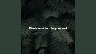 Modish Electric and Acoustic Piano - Vibe for Acoustic Fall