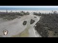 Excursie De O Zi La SfГўntu Gheorghe Delta DunДѓrii Plaja SДѓlbaticДѓ Saint George Danube Delta SAFCA Excursie De O Zi La SfГўntu Gheorghe Delta DunДѓrii Plaja SДѓlbaticДѓ Saint George Danube Delta SAFCA
