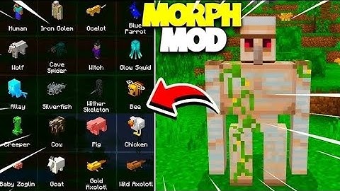 MORPH MOD FOR MINECRAFT PE 1.20/1.21 || MORPH INTO ANY MOB