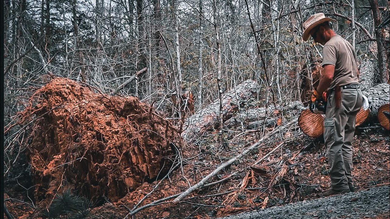 DISASTER CLEAN UP FROM STORM DAMAGE - YouTube