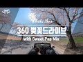 🌸 달달한 팝송과 함께 벚꽃드라이브 즐겨요! (feat. 360도 영상, 오픈카)