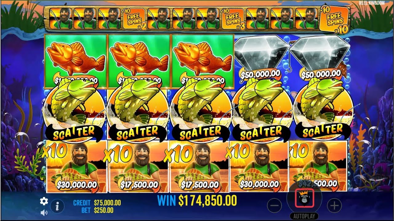 BİG BASS HOLD SPİNNER EPİC 5X SCATTER BİG PROFİT ?? X10 FREE SPİN BONUS ...