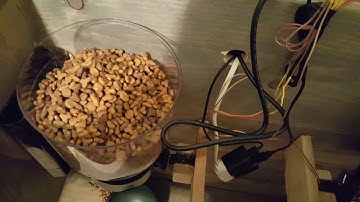 Smartthings raspberry pi cat feeder with alexa integration