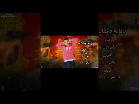 زياد الحناوى