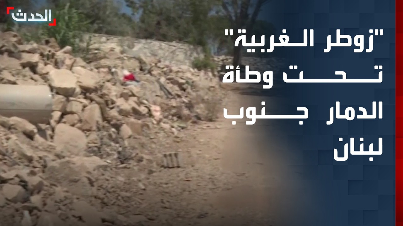 “زوطر الغربية” تحت وطأة الدمار في جنوب لبنان — Transcript