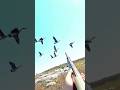 the best hunt#duckhunting