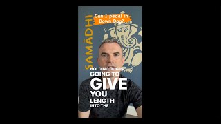 YogaBytes 2: Greg's Weekly Instagram Reel Compendium
