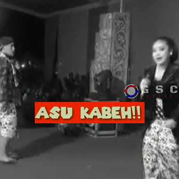 Strory WA, Percil Kuntet Padu Probo Nesu Misuh