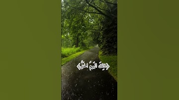 ما تيسر من سورة النبأ (القارئ عمر)