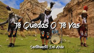 Video thumbnail of "Te Quedas O Te Vas - Sentimiento Del Ande ( Letras / Español )"