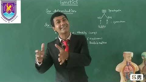 Sex Chromosomes || Genetics-NCERT XII Class || By Nagavelli Prasad