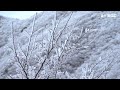 4k travel to ulsan korea snow view of yeongnam alps  