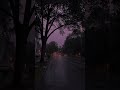 rainy morning ☔️ #ambientmusic #rain #darkambientmusic #aesthetic #liminalspace