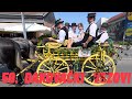 59 ト紳kovaト耕i Vezovi 59 ト紳kovaト耕i Vezovi