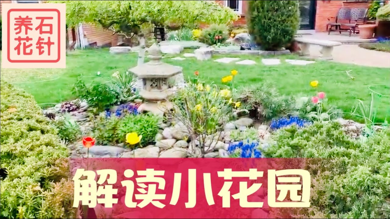 小而精巧的春天花坛 有颜色 也有禅意 有细节 有四季变化 值得借鉴 花园设计解说 Youtube