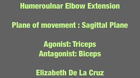 Humeroulnar Elbow Extension - Elizabeth De La Cruz