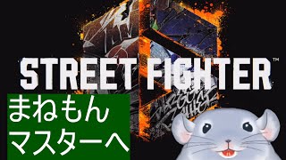【ストリートファイター6】まねもんマスターへ！！先生とひたすら拳（足）を交える着ぐるみチンチラ/Fade【新人Vtuber】