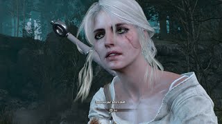 The Witcher 3 III - Ciris Story : The King of Wolves