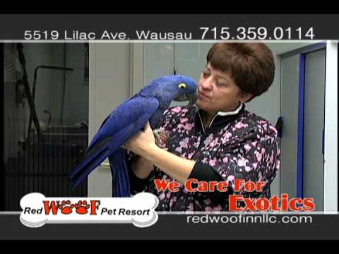 Red Woof Pet Resort in Wausau Wisconsin