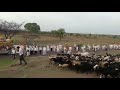माऊली माऊली _ Mauli Mauli _ Sona Mohapatra _ Marathi Whatsapp Status Video Download Free
