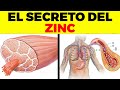 Esto no sabías del ZINC - Beneficios Y Usos Del Zinc Para Tu Salud Y Belleza