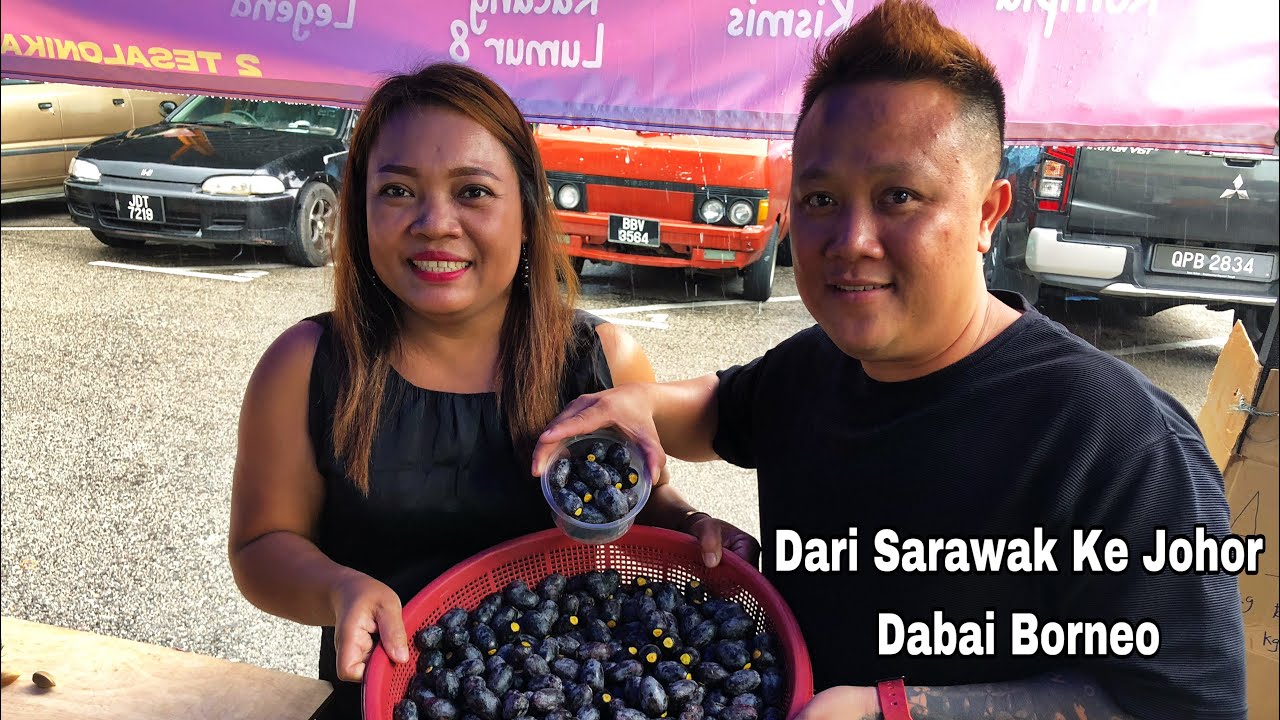 Pasar Borneo Beli Buah Dabai Sekilo Rm80 // Buah Kurma Sarawak Bermusim Sahaja //