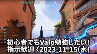 [Twitchアーカイブ2023/11/15 11:10] 🔰初心者でもValo勉強したい！指示歓迎 〈2023-11-15(水)