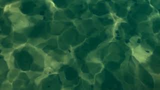 Underwater Seamless Loop  Free Stock Footage