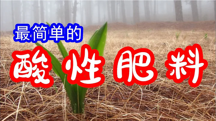 如何自製最簡單的酸性肥料，不用費時腐熟 / How to make the simplest acid fertilizer？【種菜養花】 - 天天要聞