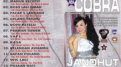 New Cobra - Manuk Kecepit - New Cobra [ Official ]  - Durasi: 2:56. 