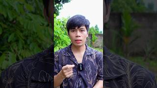 Sẵn Nhiều Acc Qq Giá Rẻ Ànhbụi