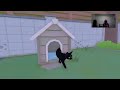 A Kitty and A Fairy: Ft. My Cat [Little Kitty, Big City]