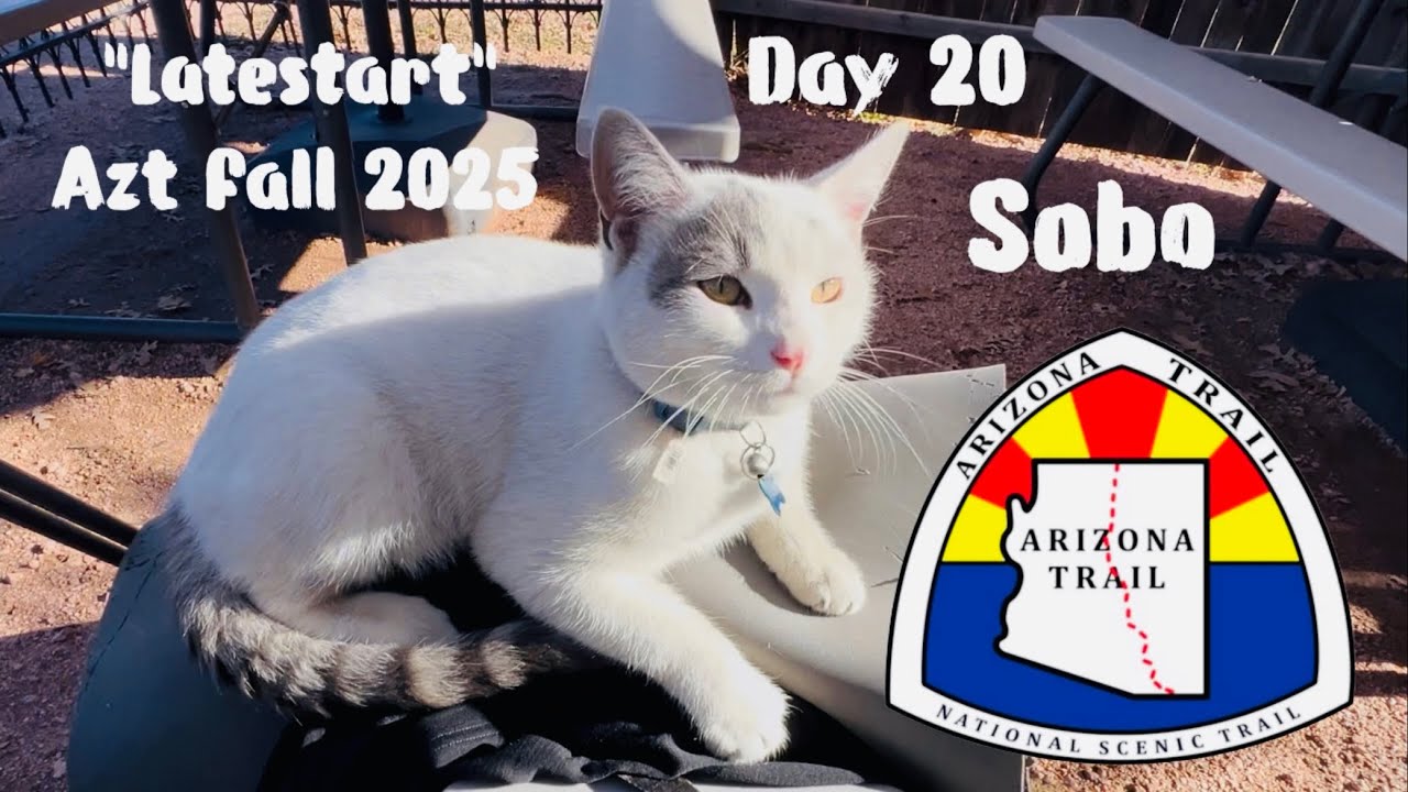 Day 20, Sobo Azt fall 2025