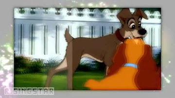 { Like it´s Dynamite } (SD)