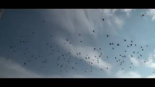 Ağri Dağin Eteği̇nde