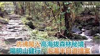 彷彿闖入高海拔森林秘境！陽明山健行、泡湯半日遊提案