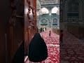 يا ابن امي الصبر يا ابن امي الصبر