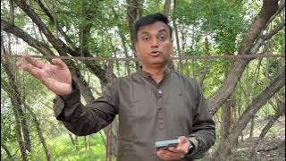 मराठवाड्यातून ७२ दिवसांत ४२९ अर्ज…पण OBC प्रमाणपत्रे २७! जिंकले कोण सरकार, OBC नेते की जरांगे?