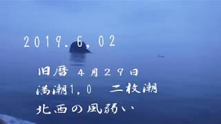 Download 五目釣りの二枚潮 Mp3 and Video 五目釣りの二枚潮