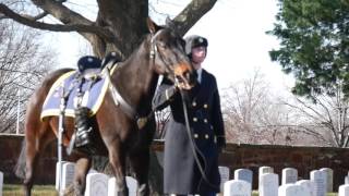 Army Special Full Honors Funeral