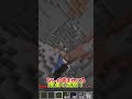 前回の動画の村人視点です。(なんだかんだこれ編集してる時が一番楽しい)#マイクラ #マインクラフト #minecraft #shorts