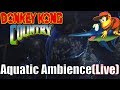 Aquatic ambience  donkey kong country jazz live at ooparty 2  jazztick