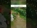 The Battle Against Yi Dao | Where winds meet