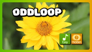 osu! Oddloop +EZHD Full Combo