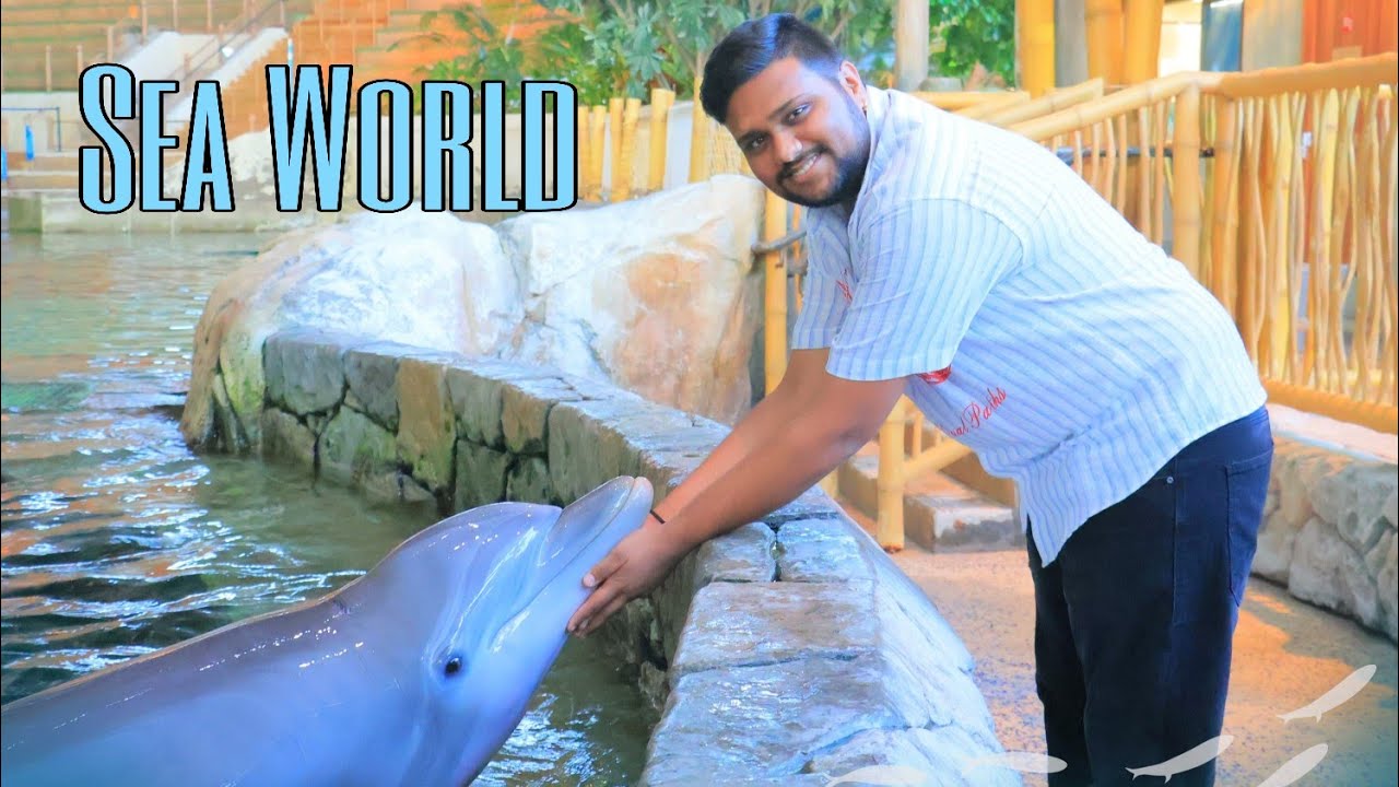 Dolphin Encounter At SeaWorld AbuDhabi